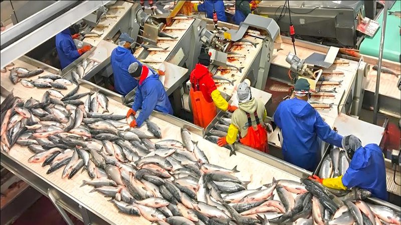 食品检验检测