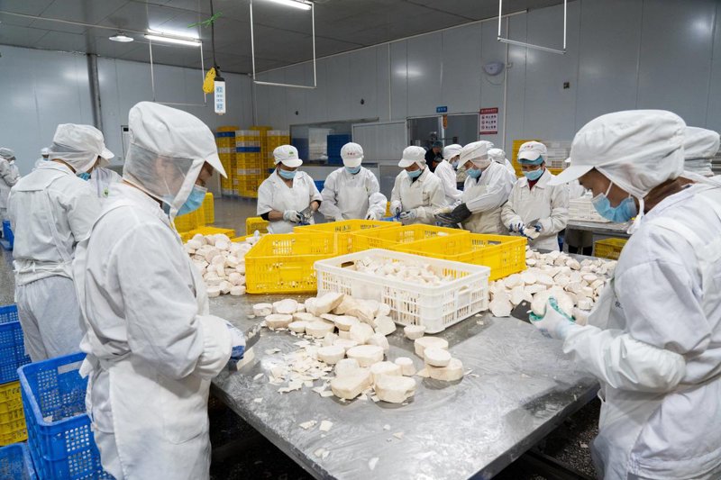 食品工艺优化：让美味触手可及